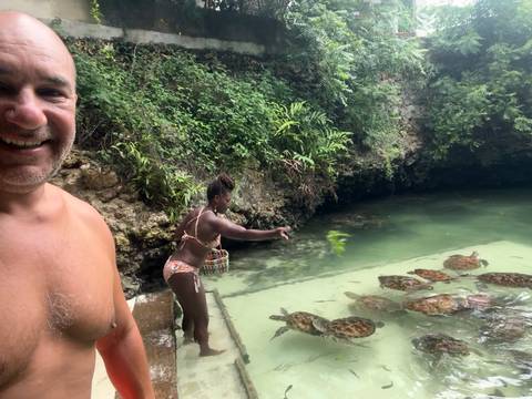       Travellers feeding sea turtles in a natural turquoise pool surrounded by lush rocky walls
  