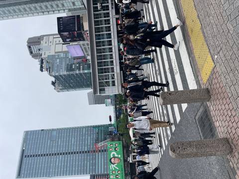       Crowds of pedestrians cross a wide zebra intersection surrounded by modern high-rise buildings in a busy Japanese city centre.
  