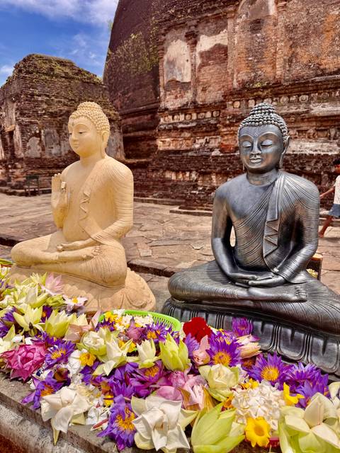       Two serene Buddha statues, one stone grey and one pale sandstone, sit in meditation amid ancient temple ruins.
  