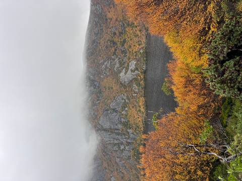       Misty autumn hillside with colorful foliage surrounds a dark mountain lake beneath low clouds.
  