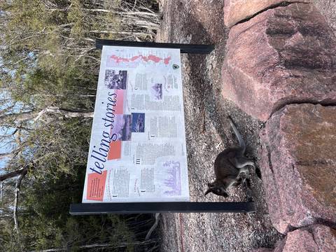       Interpretive park sign titled 'telling stories' with a small wallaby eating grass below it.
  