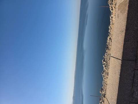       A tranquil expanse of blue water stretches to the horizon beneath a cloudless sky.
  