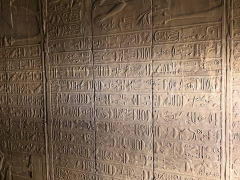       Wall filled completely with rows of hieroglyphic inscriptions under artificial light.
  