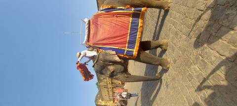       Mahout adjusts bright cloth atop elephant carrying tourists at Amber Fort courtyard
  