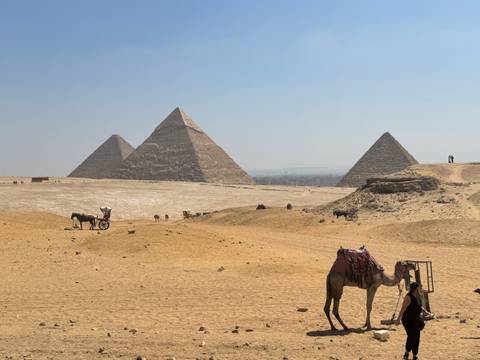       Wide view of the three main pyramids of Giza rising from golden desert sand with camels and carts in the foreground
  