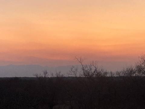       Orange-hued twilight sky over distant tree line and bare branches.
  