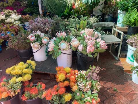       Buckets brimming with colorful protea and pincushion flowers at an outdoor market stall
  