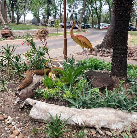       Decorative garden with succulents, driftwood and a metal bird sculpture beside a paved path
  