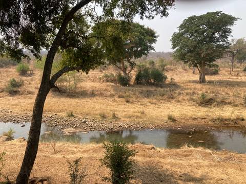       Quiet stream winding through a dry grassy landscape with scattered trees
  