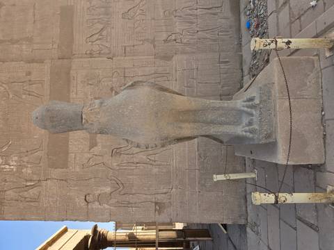       Rear view of a stone falcon statue standing against hieroglyph-covered wall at a temple.
  
