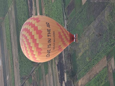       Bright orange and yellow hot-air balloon labeled 'Love is in the Air' floating above patchwork green fields.
  