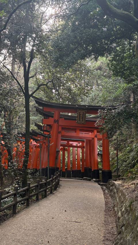       Photo d'avis client sur Circuit de 13 jours au Japon : Tokyo, Mont Fuji, Kyoto, Nara, Osaka et au-delà 
  
