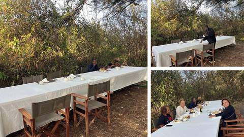      An outdoor bush dining setup with a very long white-clothed table and wooden safari chairs in a leafy savannah clearing, a few guests and a staff member enjoying a meal.
  