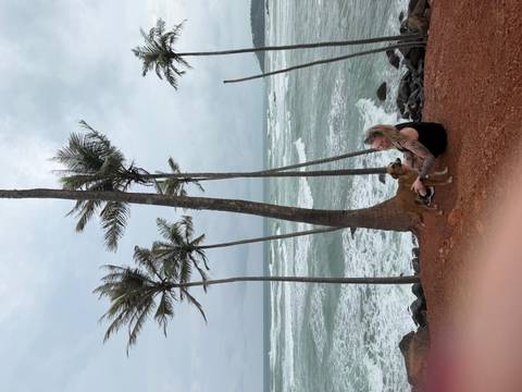       Traveler pets a stray dog on a red-earth cliff beside rough ocean waves and leaning palm trees
  