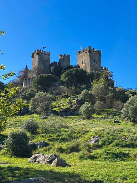       Photo d'avis client sur Légendes d'Andalousie, les villes d'or d'Espagne 
  