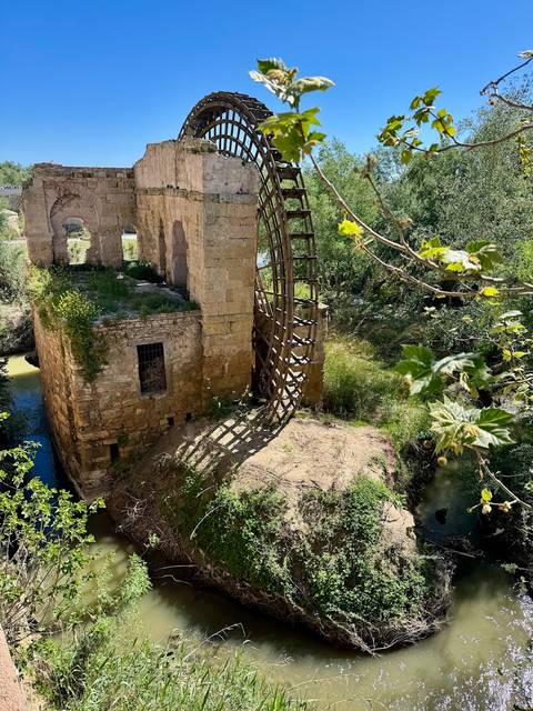       Photo d'avis client sur Légendes d'Andalousie, les villes d'or d'Espagne 
  