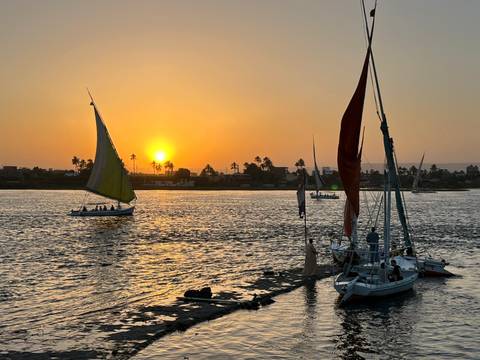       Traditional feluccas sail on the Nile at sunset with palm-lined shore in silhouette.
  