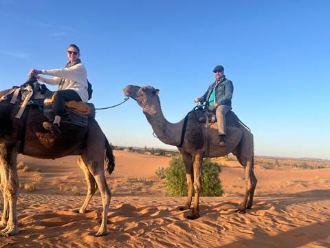       Two riders on camels against warm golden-hour light over rolling desert dunes
  