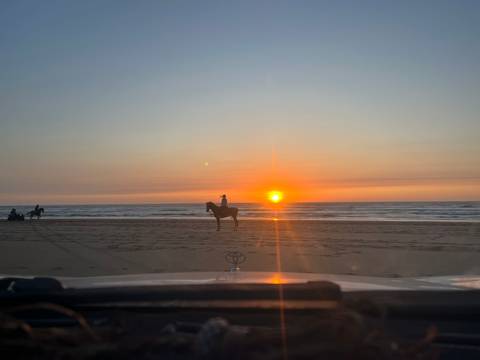       Silhouette of a horseback rider on a wide beach at vibrant sunset with the sun touching the horizon
  