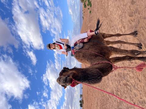       Smiling traveller sitting atop a camel against a bright blue sky and desert backdrop
  