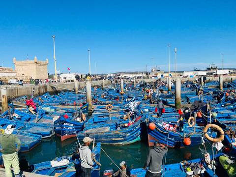       Hundreds of bright blue fishing boats crowd Essaouira’s busy harbor with a honey-coloured fort in the background.
  