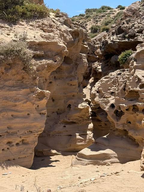       Eroded sandstone cliffs dotted with cavities and hollows under harsh sunlight.
  