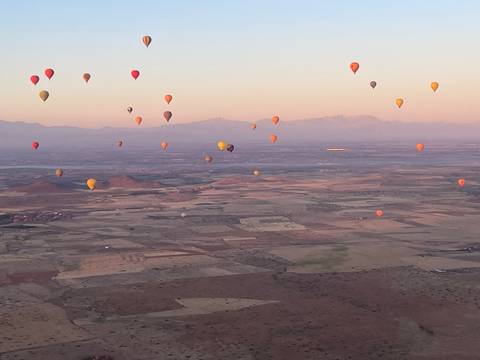       Dozens of colorful hot-air balloons drift above patchwork farm fields with hazy mountains on the horizon in soft dawn light.
  