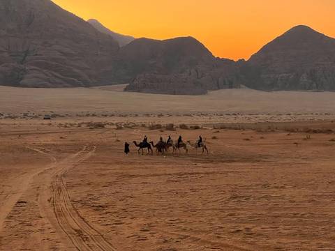       Camel caravan crosses vast Wadi Rum desert floor beneath orange twilight mountains.
  
