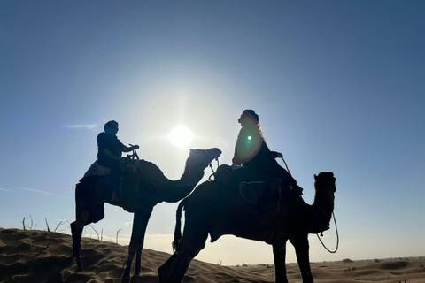       Silhouettes of two riders on camels against the low sun in a vast dune sea
  