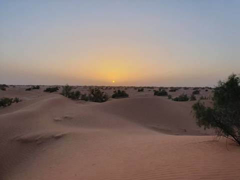       Serene desert sunset with the sun dipping below distant dunes casting warm light over rippled sand
  