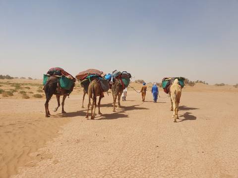       Loaded camels led across cracked desert flats by guides in traditional blue attire amid hazy skies
  