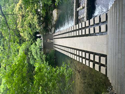       Stone stepping-block bridge crossing a shaded forest stream leading to temple grounds.
  