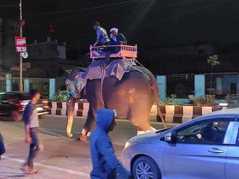      Decorated elephant carrying riders on a city street at night with bystanders and traffic
  