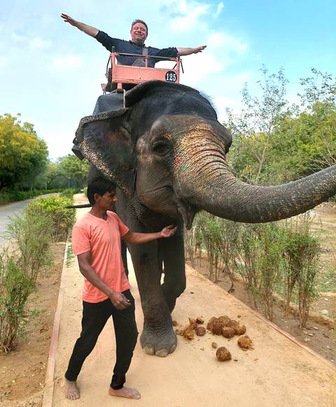      Caretaker feeding an elephant along a rural path lined with greenery
  