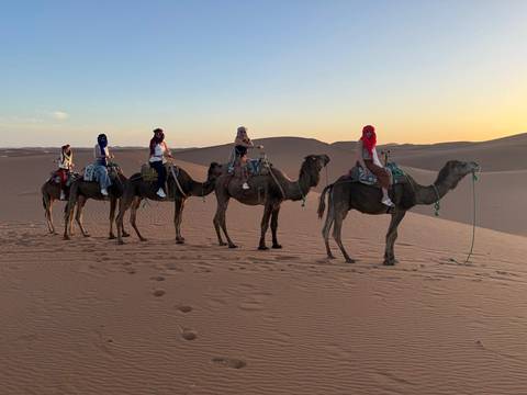       A line of camel riders in colourful scarves trek across rippled sand under a pastel evening sky.
  