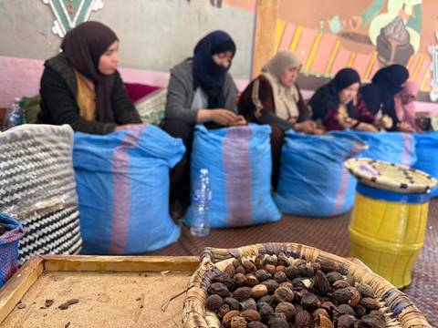       Women sit on cushions sorting nuts beside blue sacks in a small cooperative workshop.
  