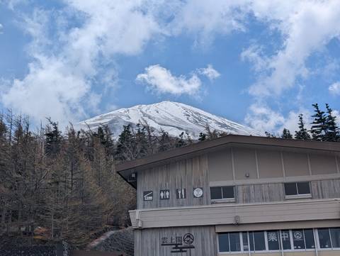       Snow-capped Mount Fuji rising above forested slopes and a wooden visitor building
  