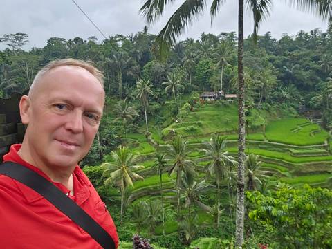       Traveler taking a selfie overlooking lush green terraced rice paddies and tall palm trees in Bali.
  