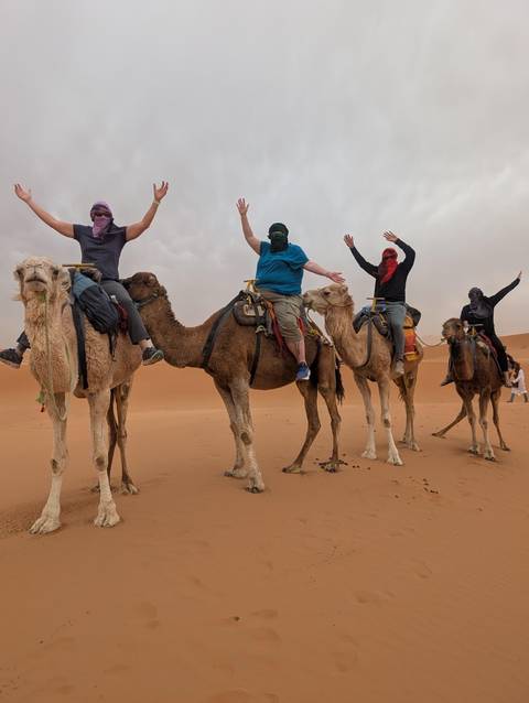       Five travelers riding camels raise their arms while traversing orange Sahara dunes.
  