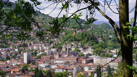       Leaf-framed panoramic view over a green valley city with red-roofed houses and surrounding hills.
  