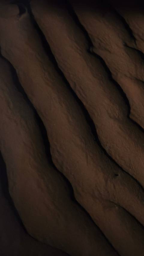       Extreme close-up of a dark textured surface, unclear subject matter.
  