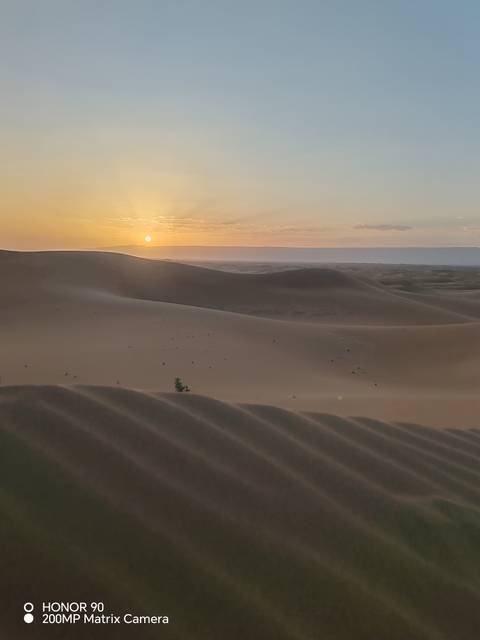       Golden sunrise casting light over rolling sand dunes in the Sahara.
  
