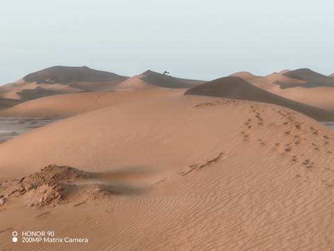       Series of sandy ridges with solitary camel silhouette on the horizon of the dunes.
  