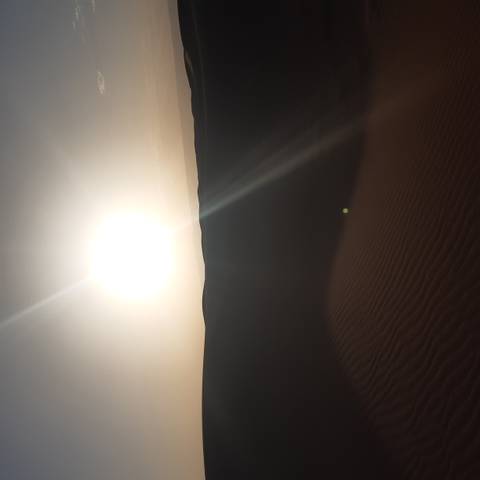       Bright sun low over the horizon casts glare onto a rippled sand dune, washing out most detail.
  