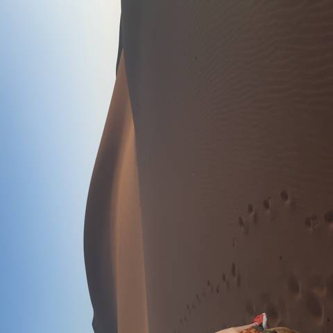       Smooth brown sand dune with a single line of footprints leading into the distance beneath clear dawn sky.
  