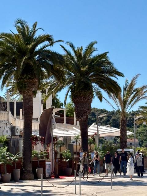       Tall palm trees shading a seaside promenade with white parasols.
  