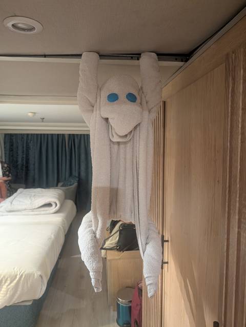       Hanging towel animal with blue eyes arranged on a cruise cabin door frame.
  