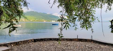       Serene lake scene with a lone blue boat framed by overhanging willow branches
  