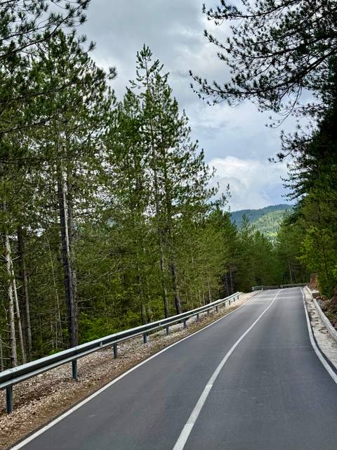       Lonely paved road winding through dense evergreen forested mountains under a gray sky.
  