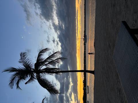       Silhouetted figure stands on a tranquil beach at sunset with a lone palm and anchored sailboat.
  